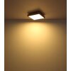 Globo DORO Ceiling Light LED Wood like finish, black, 1-light source