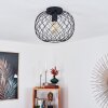 Nordslesvig Ceiling Light black, 1-light source