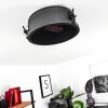 Nordslesvig Ceiling Light gold, black, 1-light source