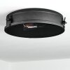 Lofthus Ceiling Light black, 2-light sources