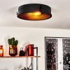 Lofthus Ceiling Light black, 2-light sources