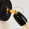Musland Wall Light gold, black, 1-light source