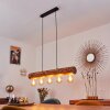 Canedo Pendant Light black, 5-light sources