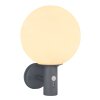 Globo OSSY Outdoor Wall Light anthracite, 1-light source, Motion sensor