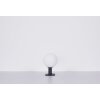 Globo OSSY path light anthracite, 1-light source, Motion sensor