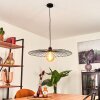Rossedalen Pendant Light black, 1-light source