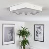 Finsrud Ceiling Light LED white, 1-light source