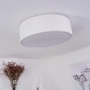 Antillo Ceiling Light white, 3-light sources