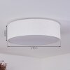 Antillo Ceiling Light white, 3-light sources