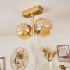 Alden Ceiling Light brass, 2-light sources