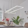 Omega Pendant Light LED white, 1-light source