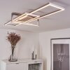 Omega Ceiling Light LED matt nickel, 1-light source