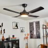 Tjerne ceiling fan LED black, 1-light source