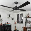 Tjerne ceiling fan black