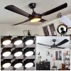 Tjerne ceiling fan LED black, 1-light source, Remote control