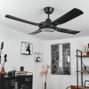 Tjerne ceiling fan LED black, 1-light source, Remote control