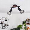 Borio Ceiling Light brown, black, 2-light sources