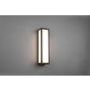 Trio Fuerte Outdoor Wall Light LED anthracite, 1-light source