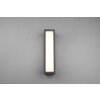 Trio Fuerte Outdoor Wall Light LED anthracite, 1-light source
