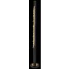 Globo FELICITAS Floor Lamp LED black, 1-light source
