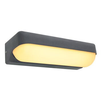 Globo HONNA Outdoor Wall Light LED anthracite, 1-light source