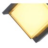 Globo JALLA Outdoor Wall Light LED anthracite, 1-light source