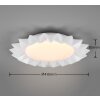 Reality Sunflower Ceiling Light LED white, 2-light sources, Remote control, Colour changer