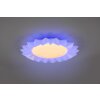 Reality Sunflower Ceiling Light LED white, 2-light sources, Remote control, Colour changer
