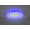 Reality Sunflower Ceiling Light LED white, 2-light sources, Remote control, Colour changer