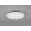 Reality Sunflower Ceiling Light LED white, 2-light sources, Remote control, Colour changer