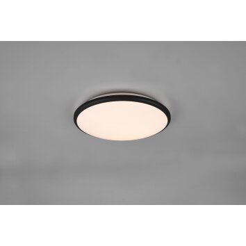 Reality Limbus Ceiling Light LED black, 1-light source