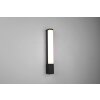 Trio Piera Wall Light LED black, 1-light source