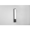 Trio Piera Wall Light LED black, 1-light source