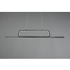 Trio Aick Pendant Light LED black, 1-light source