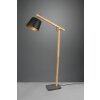 Trio Harris Floor Lamp black, 1-light source
