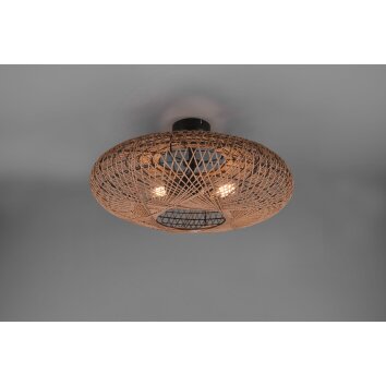 Trio Hedda Ceiling Light black, 2-light sources