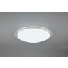 Trio Frodeno Ceiling Light LED white, 2-light sources, Remote control, Colour changer