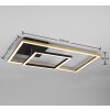 Reality Padella Ceiling Light LED brass, 1-light source