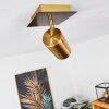 ZUOZ Ceiling Light antique brass, 1-light source