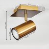 ZUOZ Ceiling Light antique brass, 1-light source