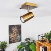 ZUOZ Ceiling Light antique brass, 1-light source