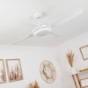 TJERNE ceiling fan LED white, 1-light source, Remote control