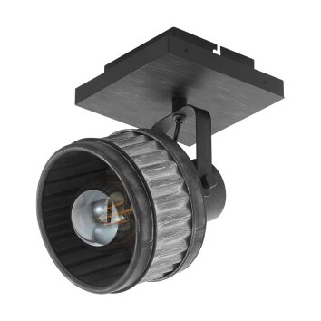 Eglo-Leuchten TURROCK Ceiling Light, 1-light source