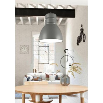 Eglo-Leuchten EBURY Pendant Light grey, white, 1-light source