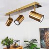 ZUOZ Ceiling Light antique brass, 3-light sources
