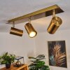 ZUOZ Ceiling Light antique brass, 3-light sources