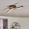 ODDA Ceiling Light