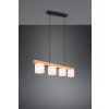 Reality CAMERON Pendant Light brown, 4-light sources