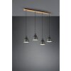 Trio-Leuchten HENLEY Pendant Light black, 4-light sources