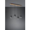Trio-Leuchten HENLEY Pendant Light black, 4-light sources